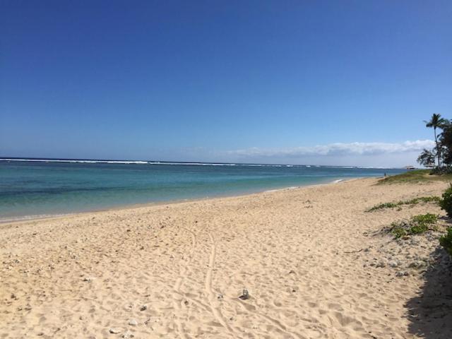 Villa De Charme Proche Plage Et Lagon La Saline Les Bains Zewnętrze zdjęcie